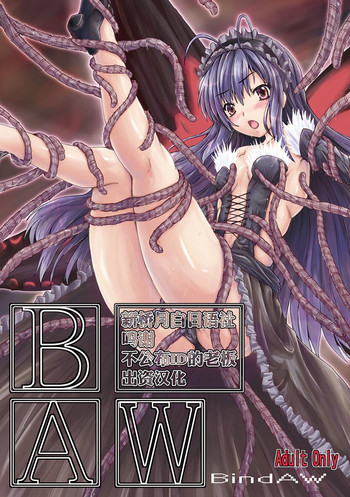 Bind AW gallery cover