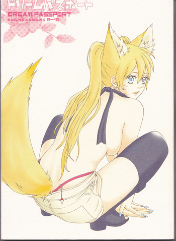 Dream Passport (Naruto)[English] [Squigglesjp]ongoing