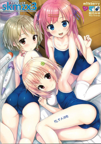skmzx3 gallery cover
