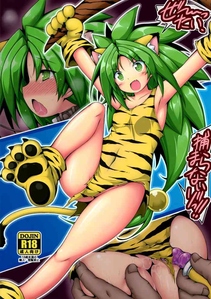 Zettai, Tsukamaranaizo!! gallery cover