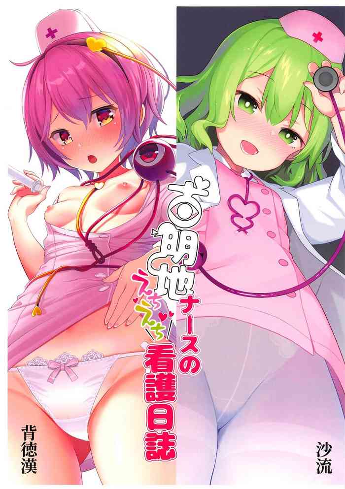 Komeiji Nurse no Echi Echi Kango Nisshi gallery cover