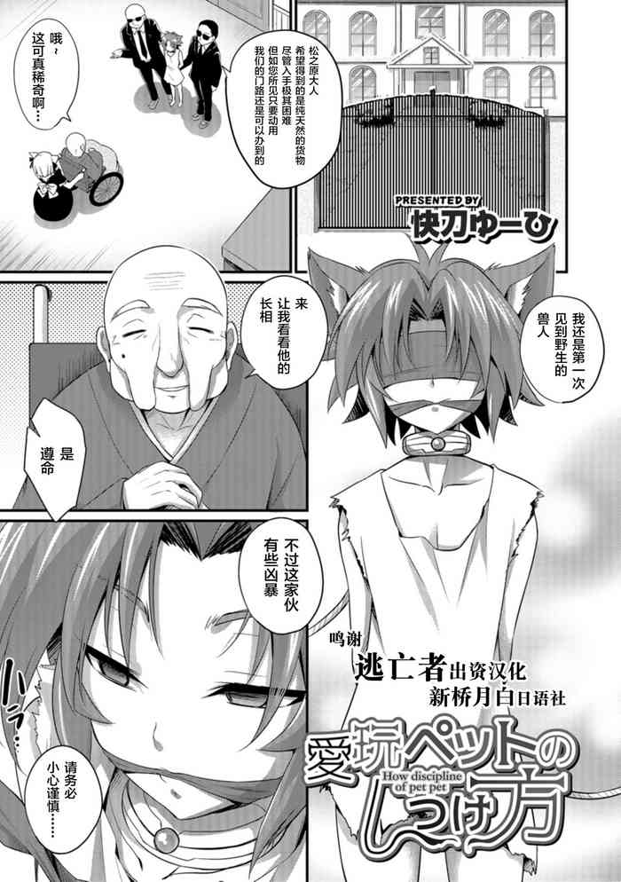 Aigan Pet no Shitsukekata I+II gallery cover