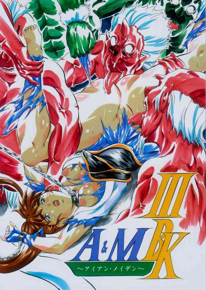 A&M BK ~Iron Maiden~ 3