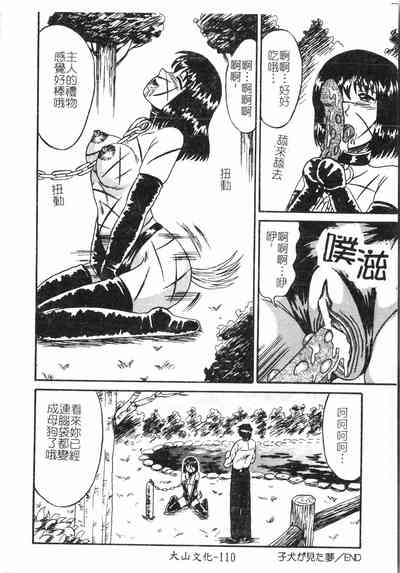 Page 111