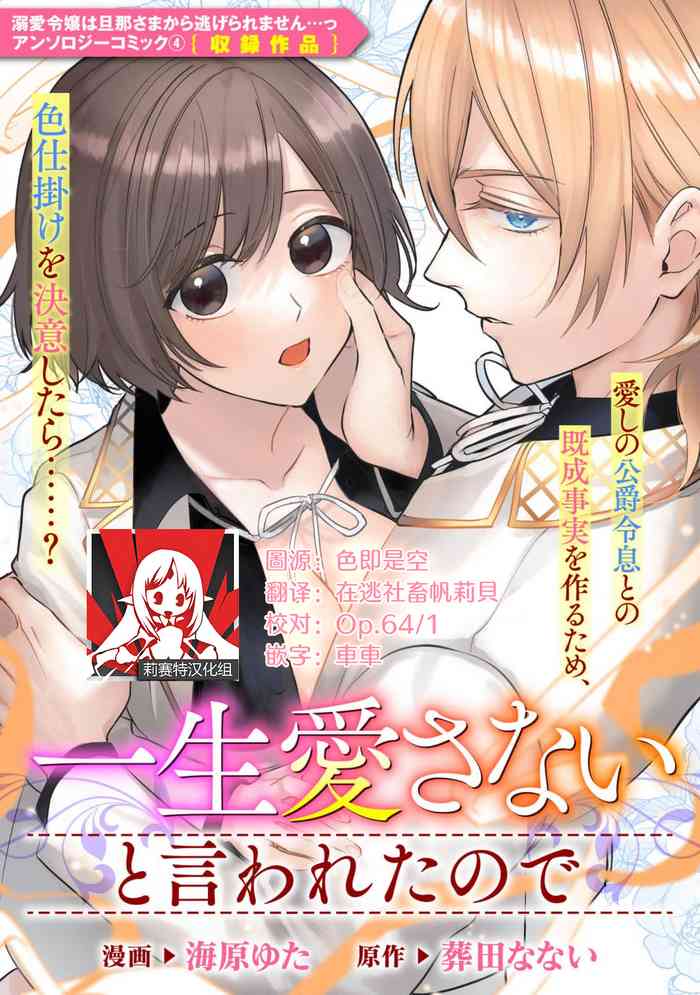 isshō aisanai to iwa retanode gallery cover