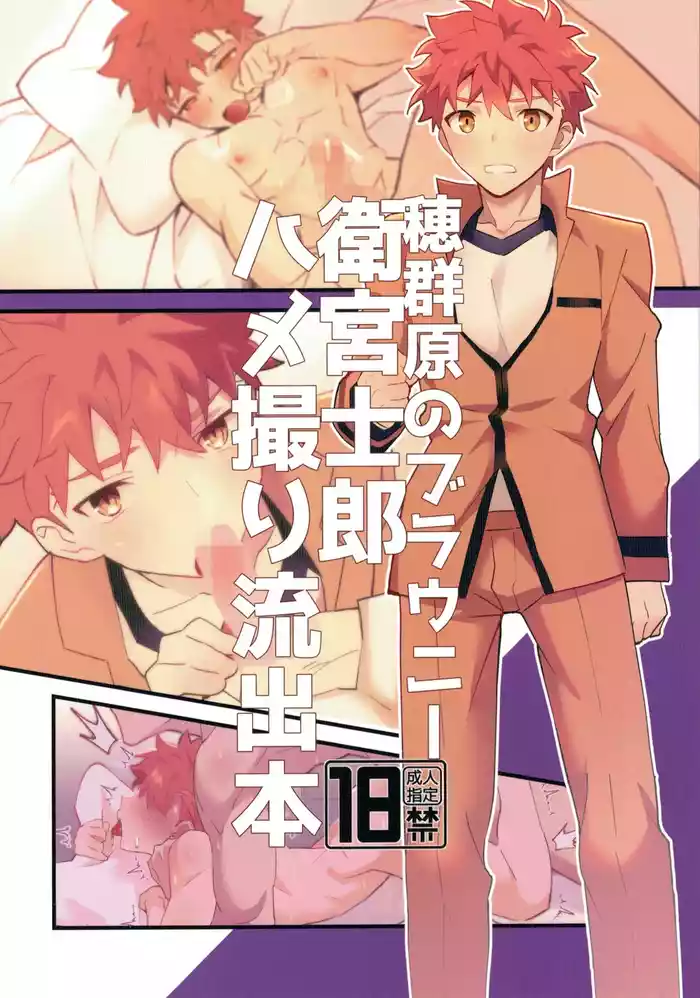 Homurabara no Brownie Emiya Shirou Hamedori Ryuushutsu Hon