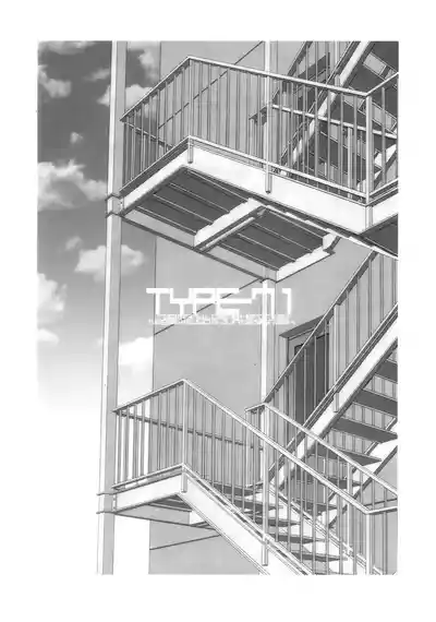 Page 19 of TYPE-71