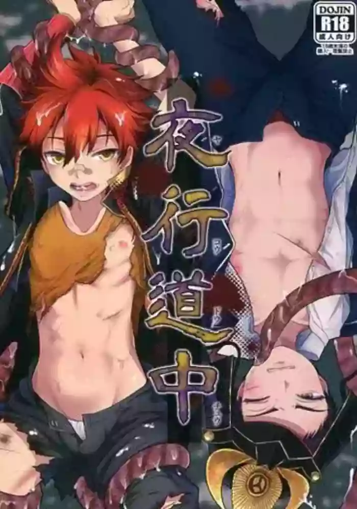 yakō dōchū / nin neko / Lovely complex