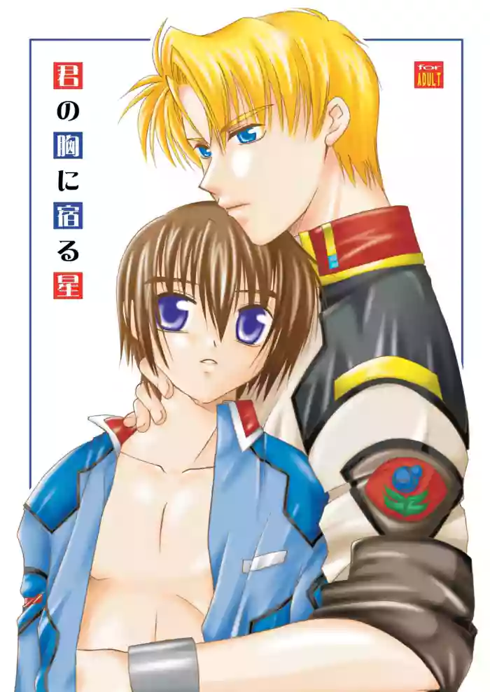 君の胸に宿る星