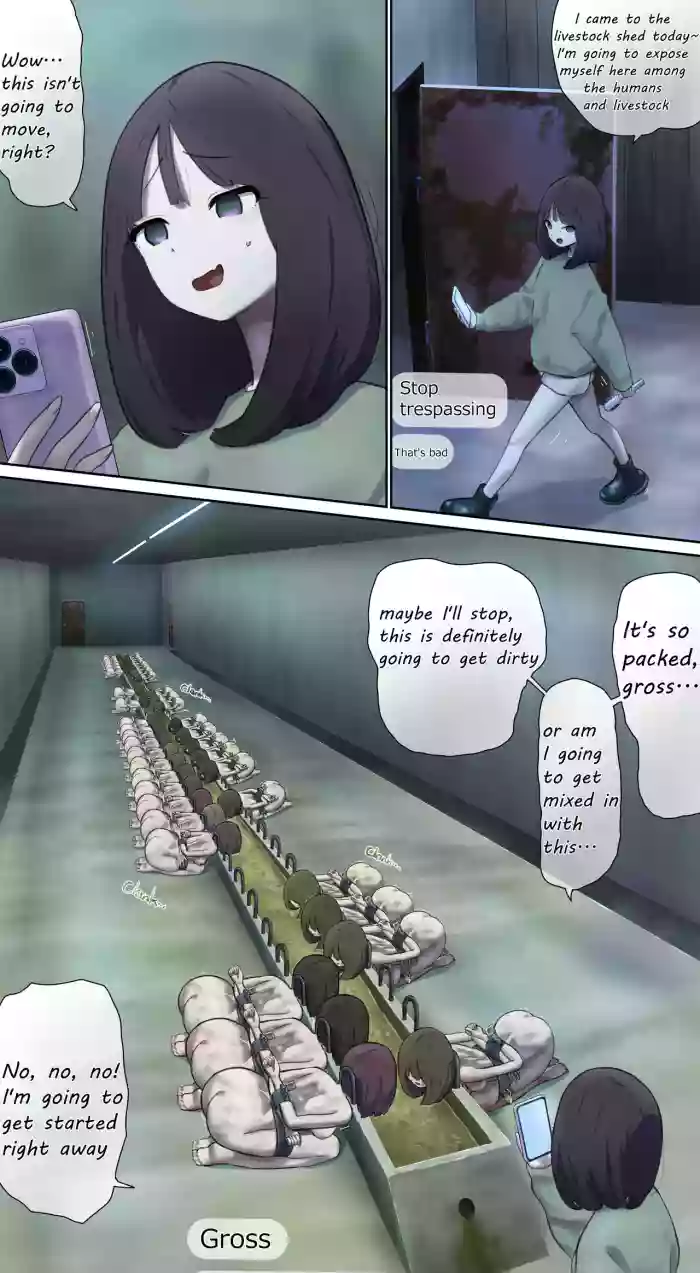 Live exposure in the barn♪