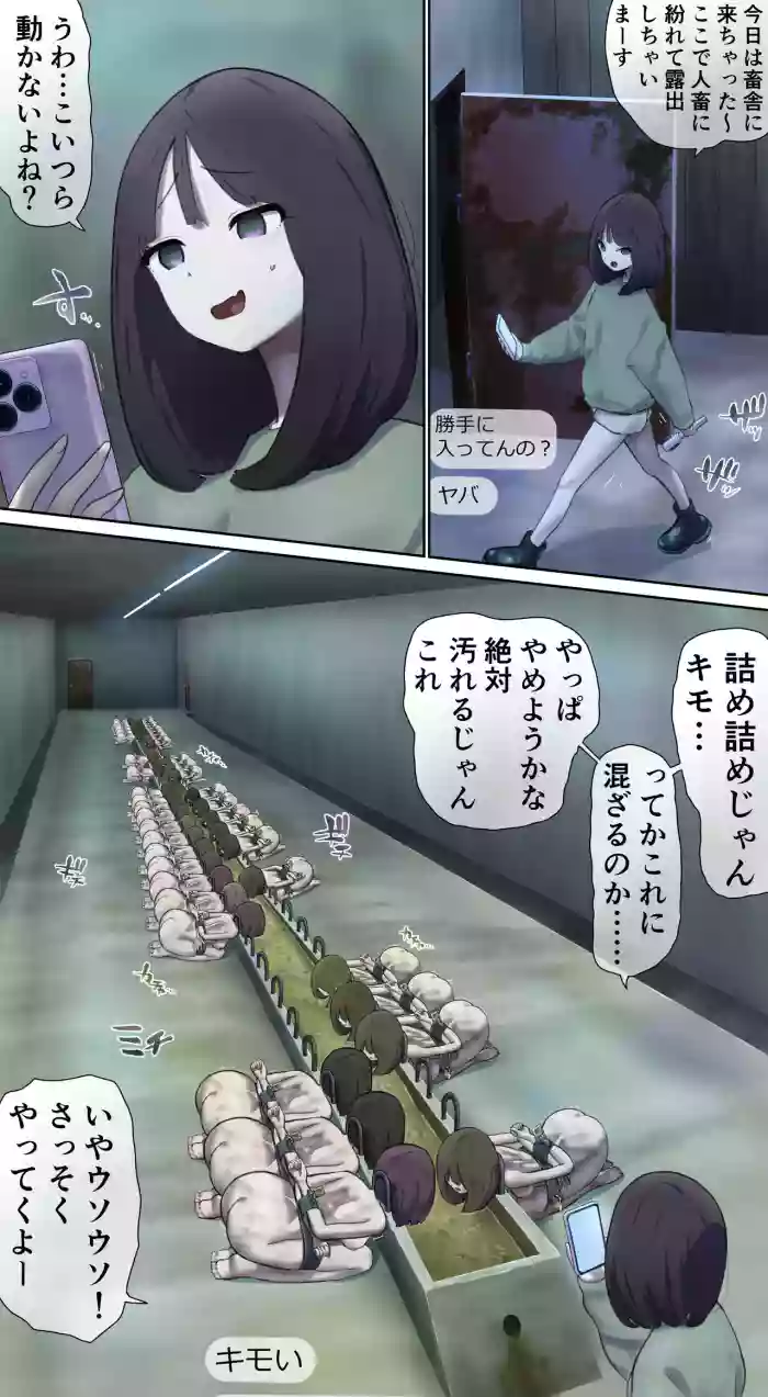 Live exposure in the barn♪