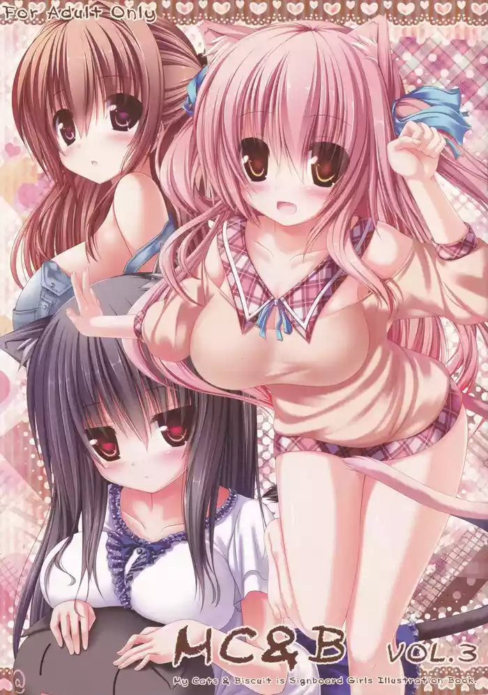 My Cats & Biscuit Vol.3