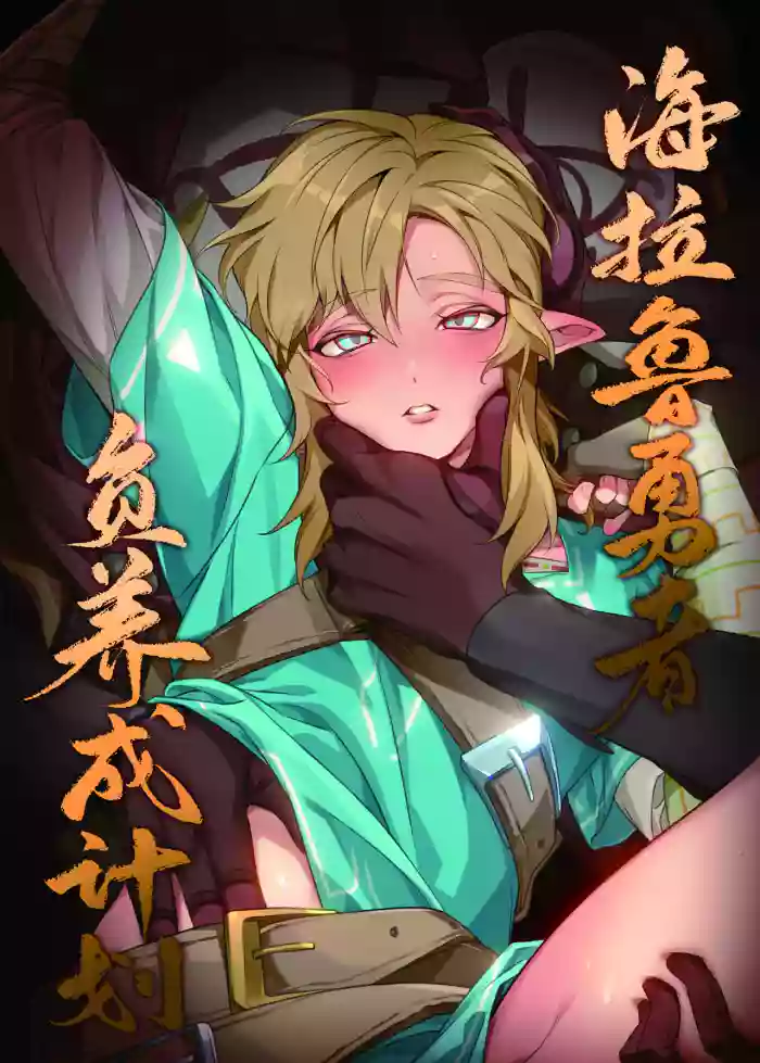 Hyrule Hero Development Plan "Jou"