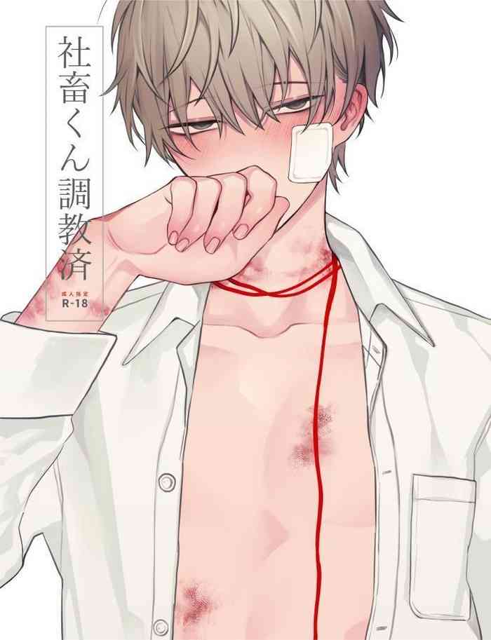 Fully Disciplined Corporate Drone