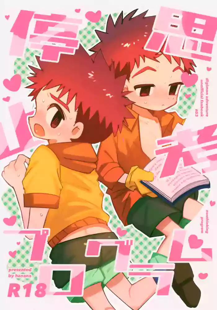 Shikou Teishi Program