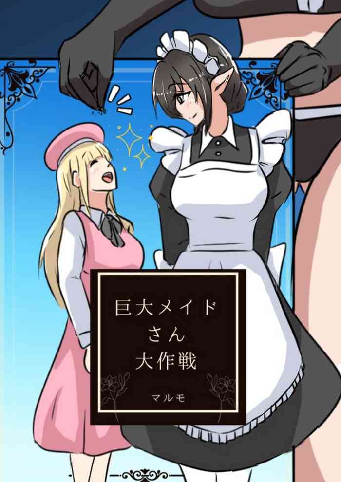 Kyodai Maid-san Daisakusen