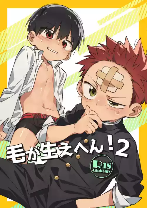 [Keito no Mori (wool)] Ke ga Gaehen! 2 [English] {Chin²}