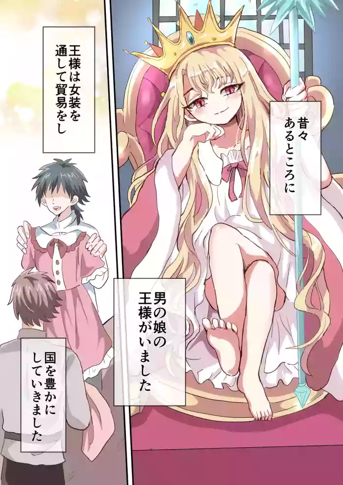 Shikkou!! Kyousei Josou-kei