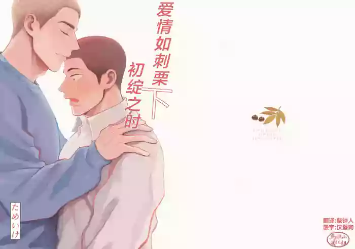 [Tame ike san'nō hōmen (tameike) ] igaguri ga wareru koro ni (下) | 爱情如刺栗初绽之时(下) [Chinese] [马栏山汉化组] [Digital]