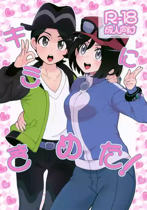 (C106) [Kajuu Gum (Sana)] Kimi ni Kimeta! (Pokémon)