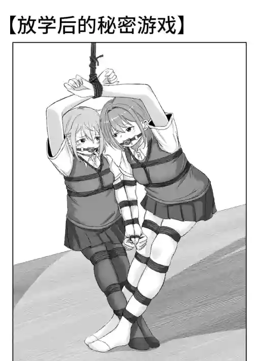 放学后的秘密游戏