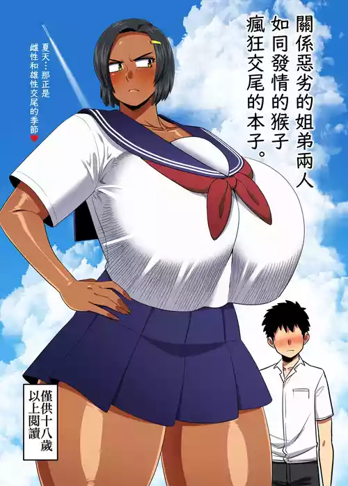 [Nacchuushou (Amazon)] Nakanowarui ane to ototo ga hatsujo shita saru mitai ni kobi shi makuru hon. | 關係惡劣的姐弟兩人如同發情的猴子瘋狂交尾的本子。 [Chinese] [Digital]