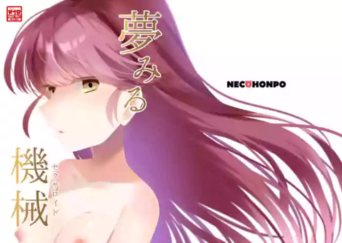 Yumemiru Kikai "Sexroid"