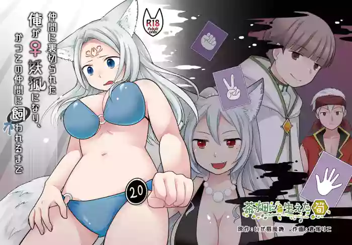 Nakama ni Uragirareta Ore ga Mesu Youko ni Nari, Katsute no Nakama ni Kawareru made