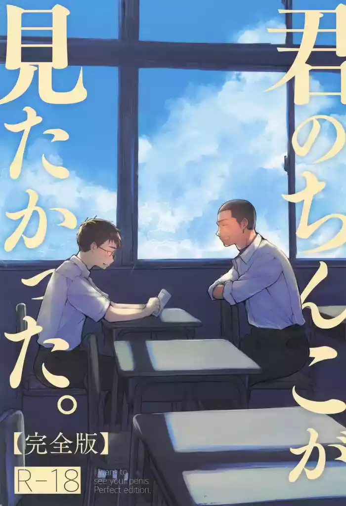 Kimi no Chinko ga Mitakatta