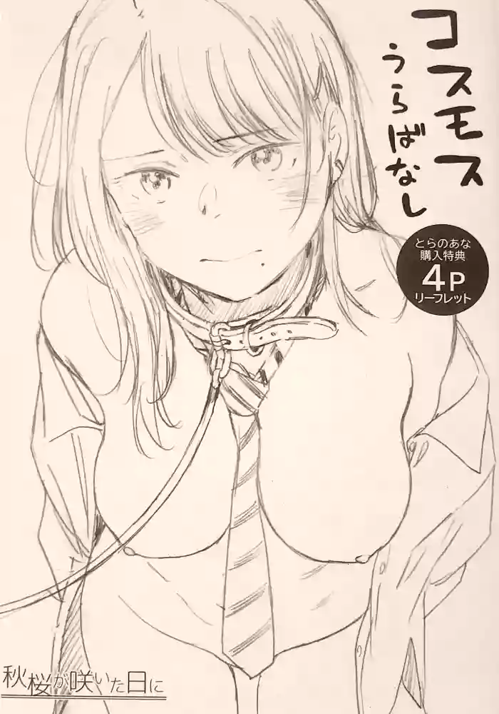 Cosmos ga Saita hi ni Toranoana Tokuten 4P Leaflet