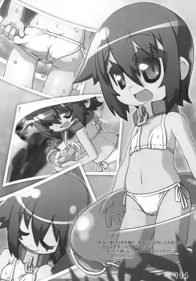 Page 113