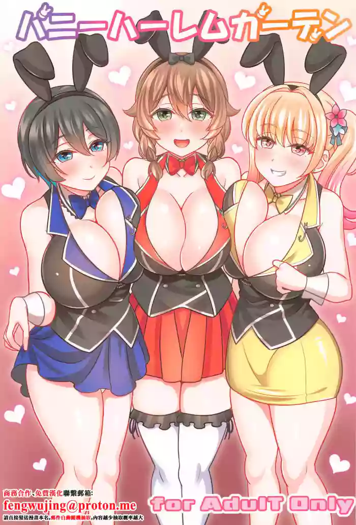 (C105) [Mabo Udon Teishoku (Yakisobapantarou, Negitoroko)] Bunny Harem Garden (Bunny Garden) [Chinese]