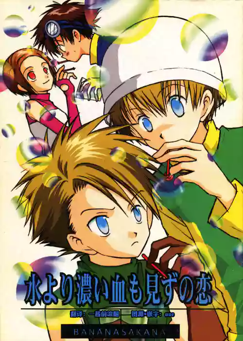 [BANANA SAKANA (Kasai Sakana)] Love without seeing blood thicker than water (Digimon Adventure 02)