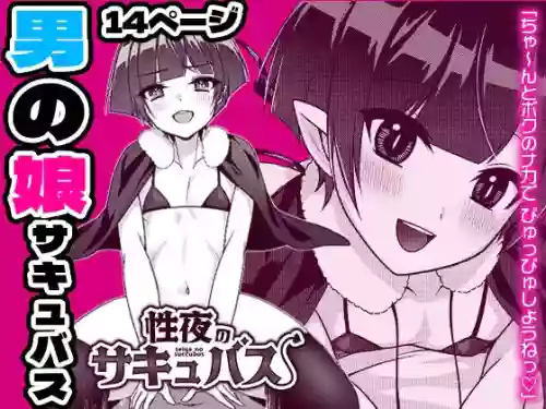 [Rigudaru (Rigudaru)] Seiya no Succubus | Hole(y) night Succubus [English] [TSHH]