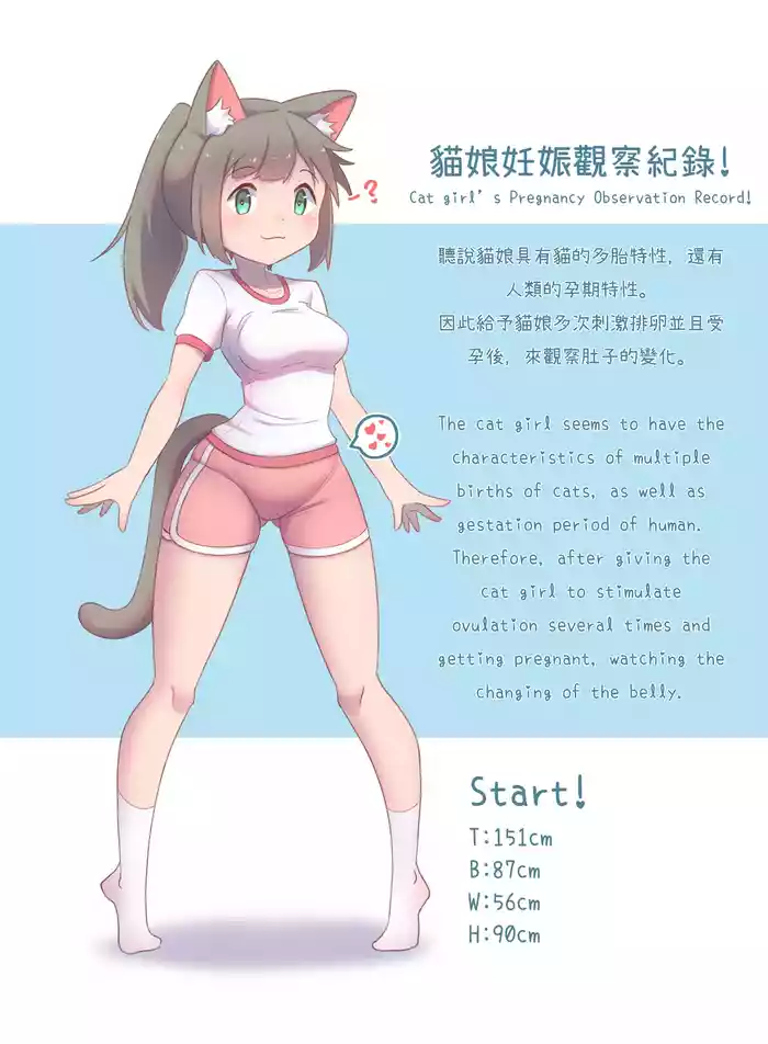CatChan's Pregnancy Observation Record!