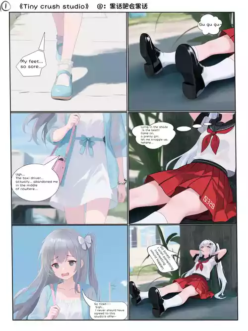 [黑话肥会黑话] tiny crush studio