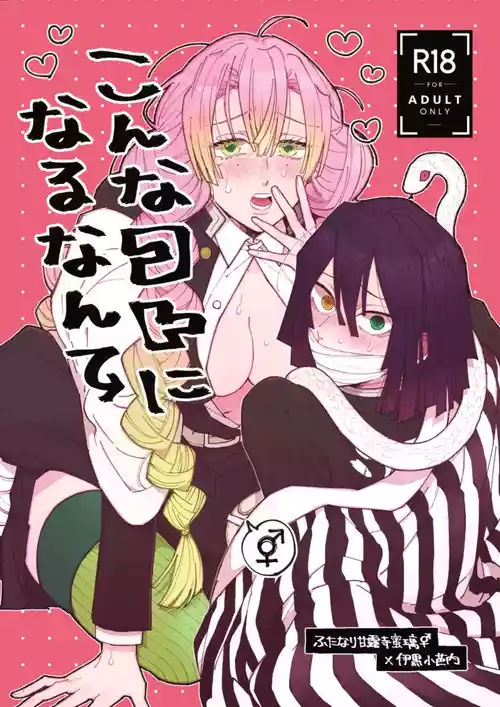 [iroirohisasan] Mitsuoba book [web reprint]