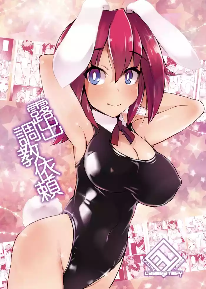 Roshutsu Choukyou Irai 3 | 露出調教依頼3