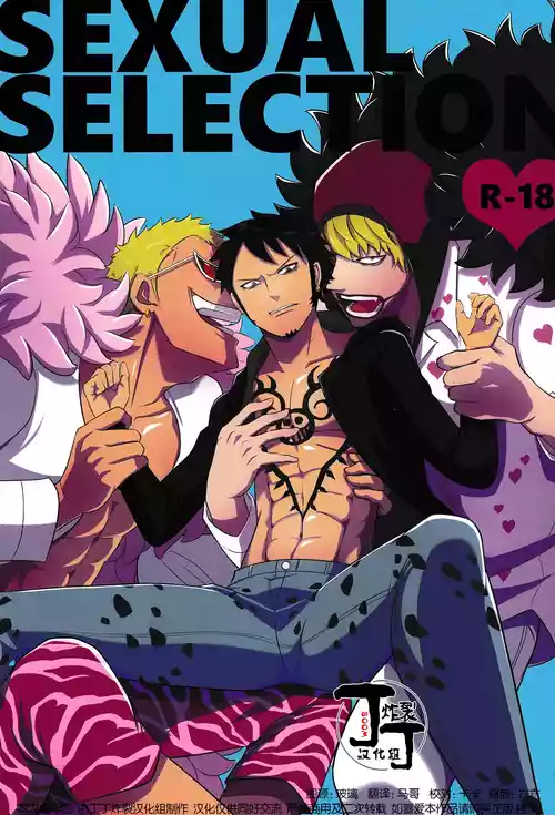 (Circle Halloween Festa)[cherry*blossom (Yuunagi)]SEXUAL SELECTION (One Piece)[Chinese] [丁丁炸裂汉化组]