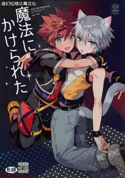 (C94) [esto (Ninomotoko)] Mahoni Kakerareta (Kingdom Hearts) [Chinese] [迷幻仙域×真不可视汉化组]