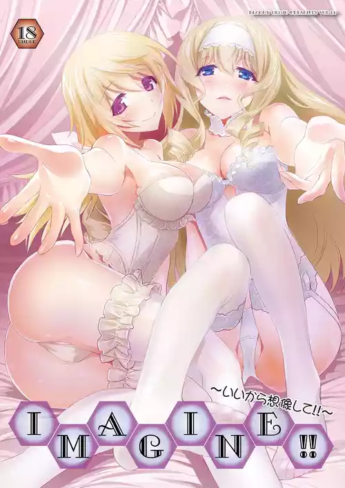 [Bloody Okojo (Mojyako, Caviar)] IMAGINE!! ~Iikara Souzou Shite!!~ (IS <Infinite Stratos>) [Digital]
