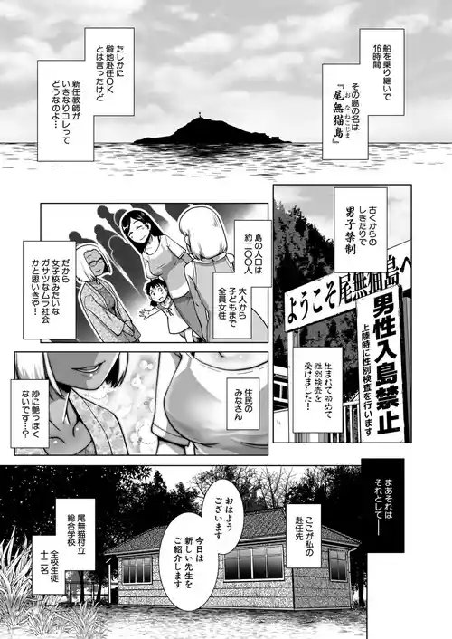 The Tale of the Owl less Cat Island part 1