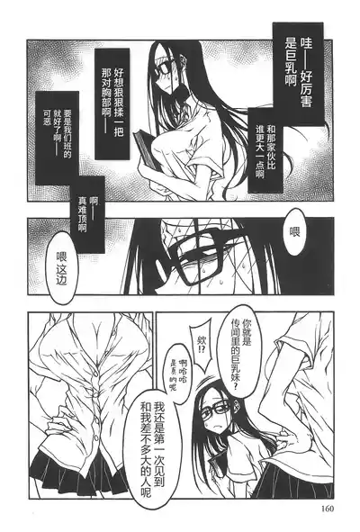 Page 161