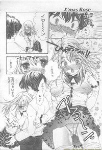 Page 262